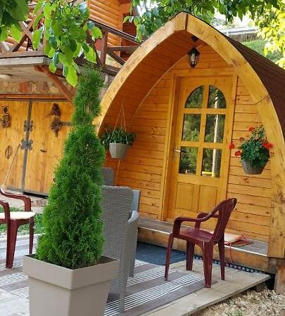 Vila Jelena - Bungalov Crni Vrh Kültér fotó