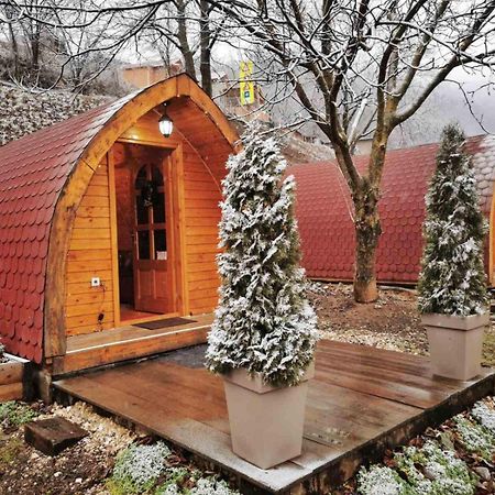 Vila Jelena - Bungalov Crni Vrh Kültér fotó