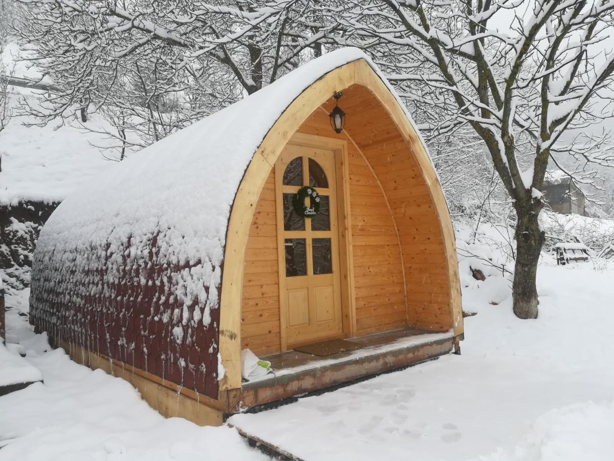 Vila Jelena - Bungalov Crni Vrh Kültér fotó