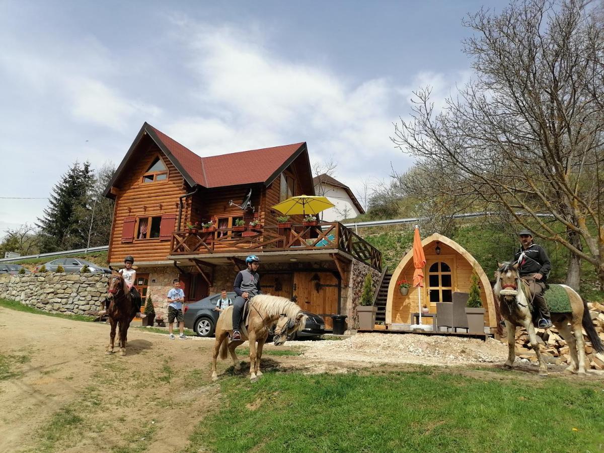 Vila Jelena - Bungalov Crni Vrh Kültér fotó