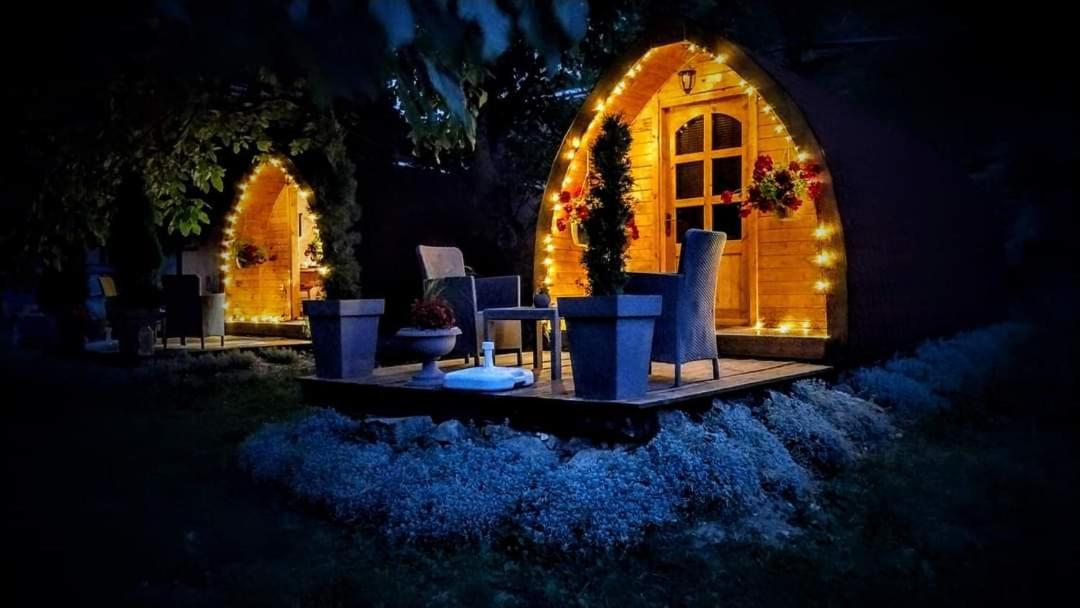 Vila Jelena - Bungalov Crni Vrh Kültér fotó